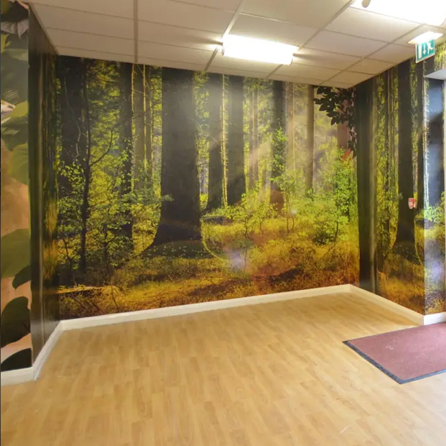 WALL MURALS